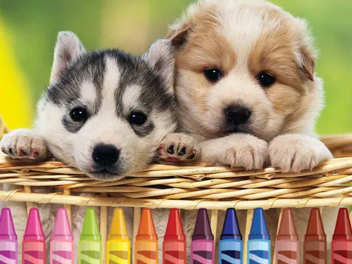 4GameGround - Puppy Coloring