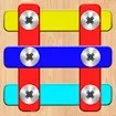Screw Sort: Screw Pin Puzzle