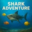 Shark Adventure