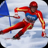 Slalom Ski Simulator