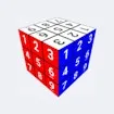 Sudoku Puzzle Cube