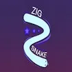 Zig Snake